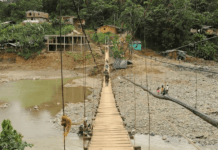 Regalías saqueadas: la red criminal que Colombia no detiene